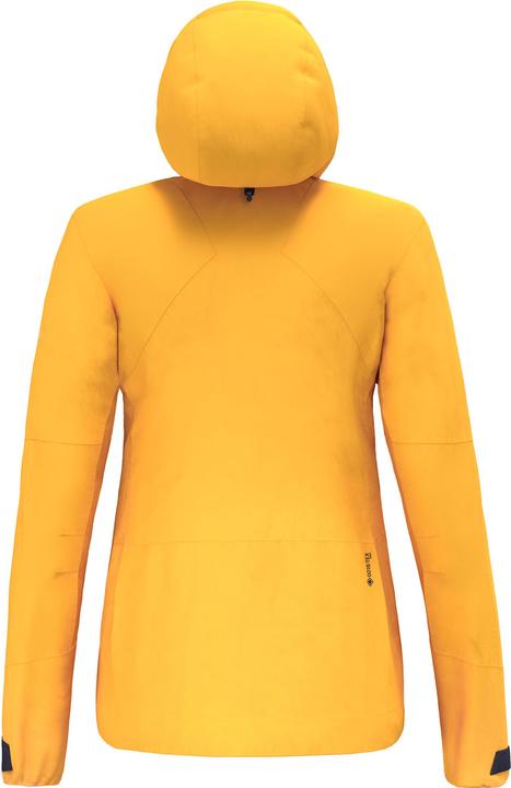 Actual product image Salewa Ortles Gtx Pro Jacket W (42, XXL)