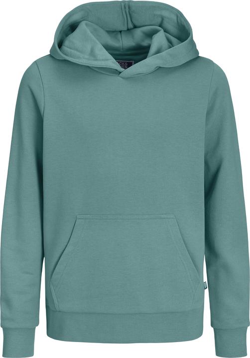 Produktbild Jack & Jones Jjebradley Sweat Hood Noos Jnr (128)