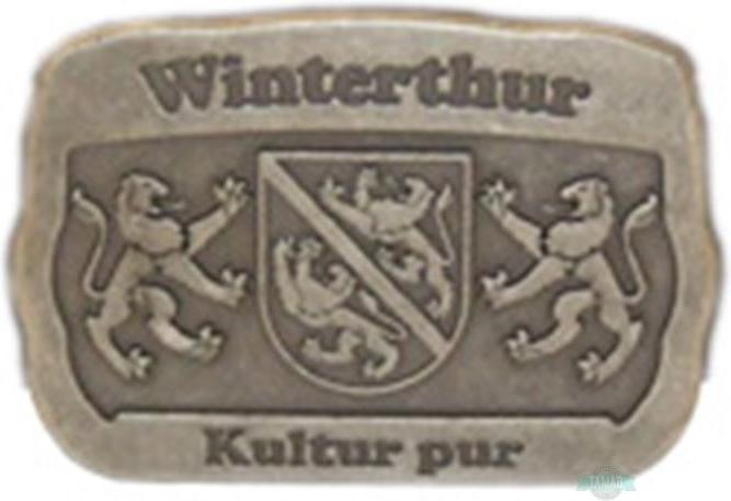 Produktbild Tamar Gürtel mit Schnalle Winterthur 120cm Gurtlänge