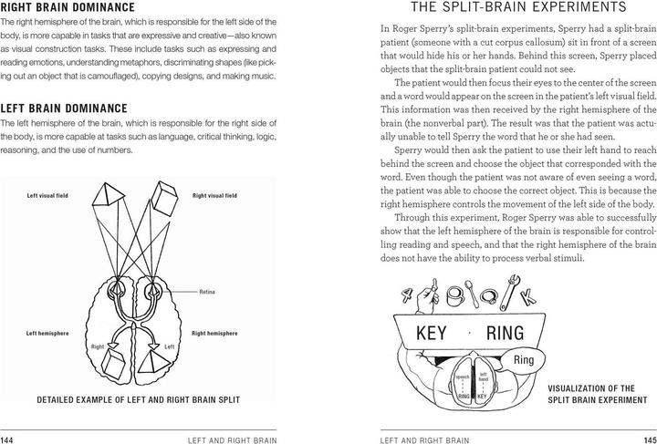 Produktbild Psych 101 (Englisch, Paul Kleinman, 2012)