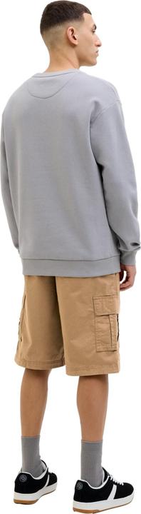Produktbild Jack & Jones Shorts JPSTCOLE MATEO Cargoshorts (M)