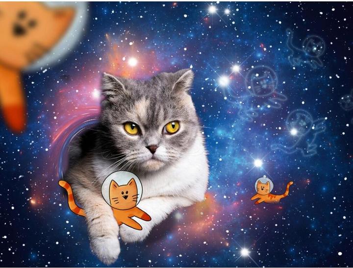 Image du produit Ravensburger Les chats volent dans l'espace (1500 pièces)
