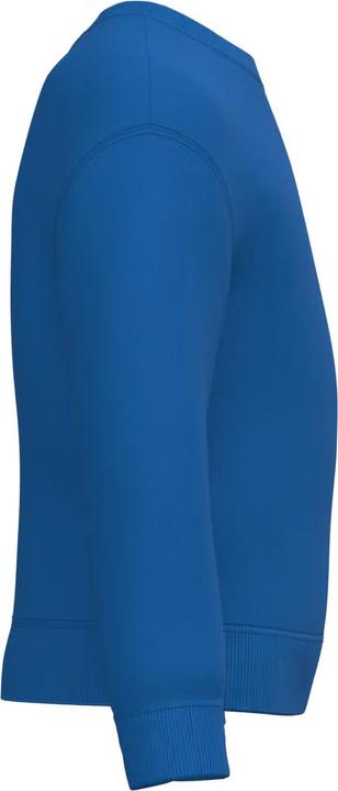 Actual product image iDeal Basic Sweatshirt round neck child (128, 140, 152)