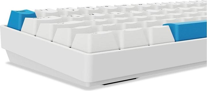 Actual product image Sharkoon SGK50 S4 Gen2 PBT wh Gateron GPRO yellow DE (DE, Cable)