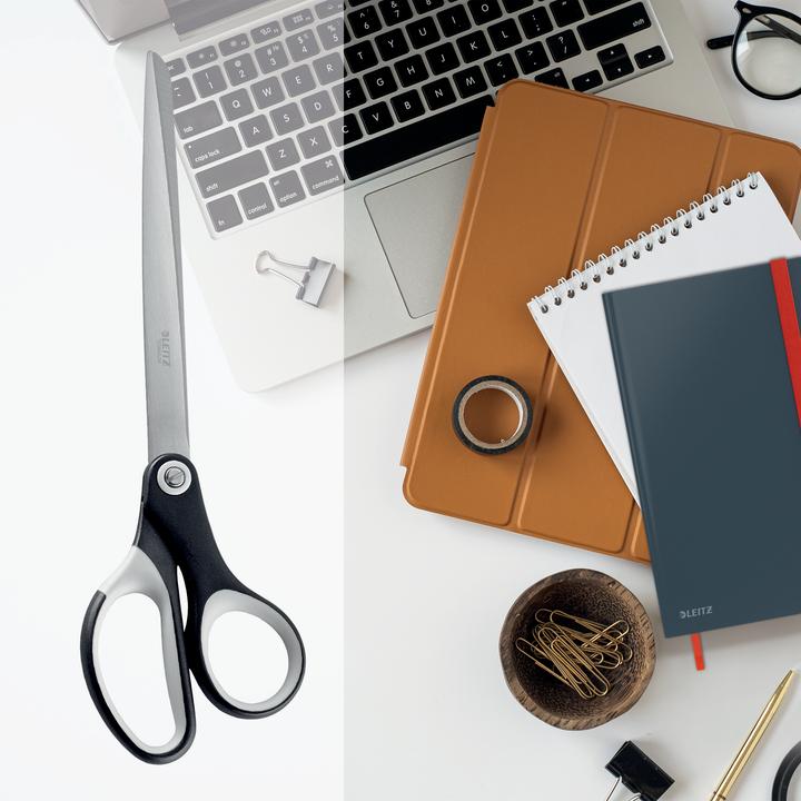 Produktbild Leitz Titan Büroscheren (26 cm)