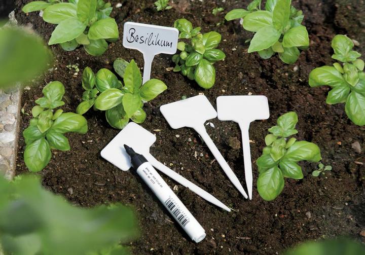 Actual product image Magni Plant labels 15 pcs.