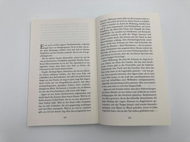 Actual product image Judith und Hamnet (German, Maggie O'Farrell, 2021)