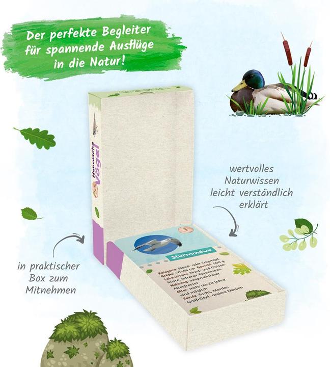 Produktbild 55 Lernkarten Heimische Vögel (Deutsch)