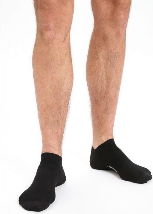 Produktbild Icebreaker Merino Lifestyle Fine Gauge No Show (42 - 44)