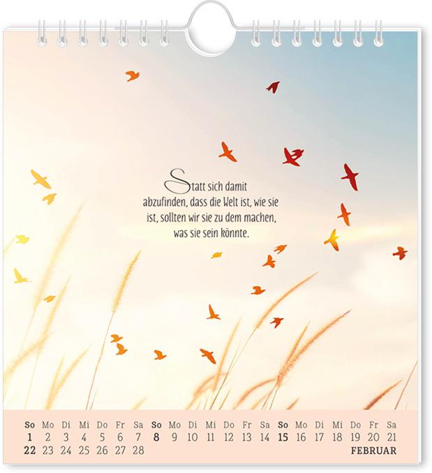 Actual product image Postkartenkalender 2026 Lebenszeichen