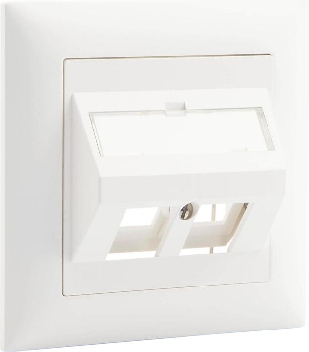 Actual product image Dätwyler Network socket UP60 2x Keystone 1 piece