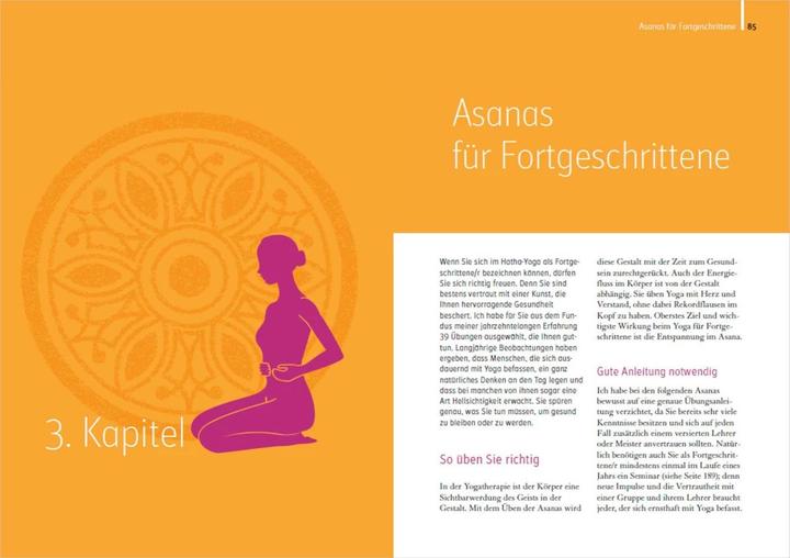 Actual product image Heilkraft Yoga. 100 Übungen für Ihre Gesundheit. Empfohlen von der Deutschen Yogagesellschaft e.... (German, Sigmund Feuerabendt, 2022)