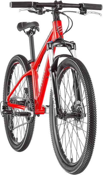 Actual product image Serious Superlite Disc (24")