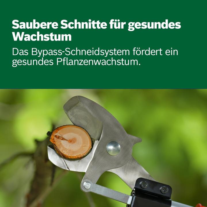 Produktbild Bosch Home & Garden Akku-Gartenschere AdvancedPrune 18V-45 (1x2,0Ah) (long)