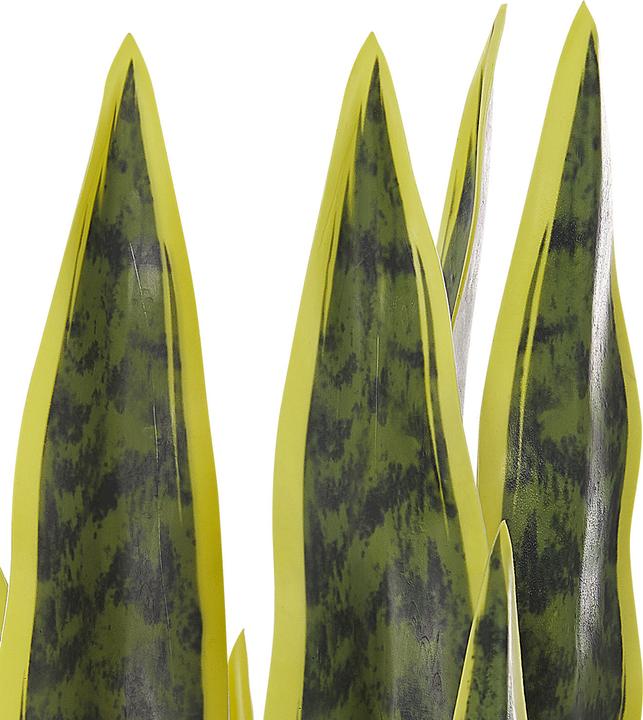 Immagine prodotto Beliani Snake Plant (63 cm)