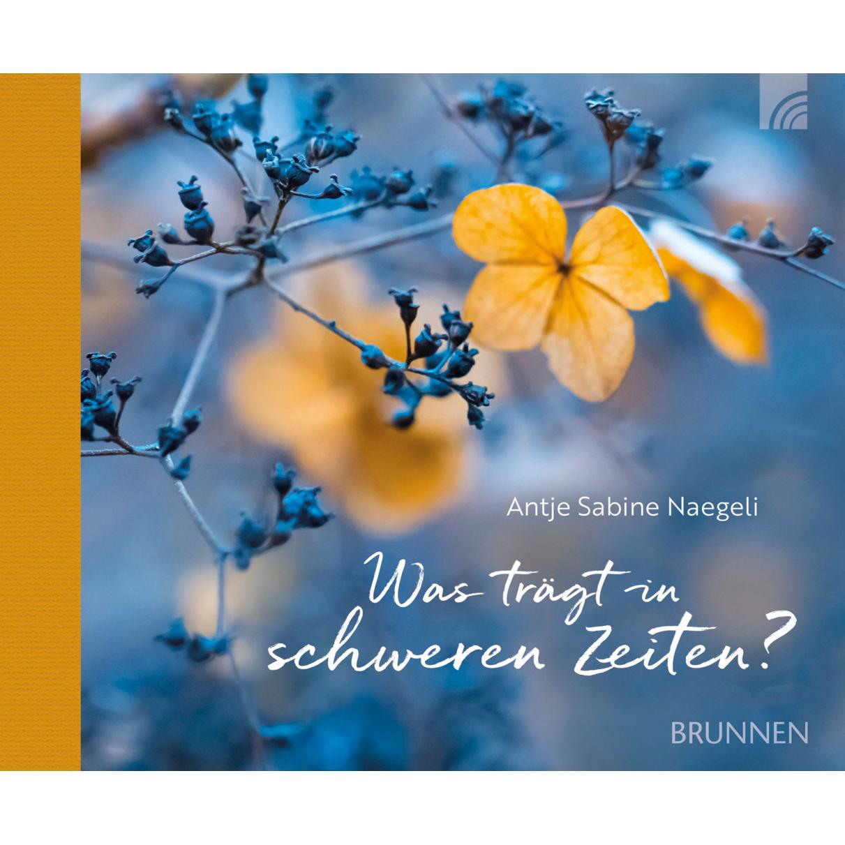 Was trägt in schweren Zeiten?, Ratgeber von Antje Sabine Naegeli