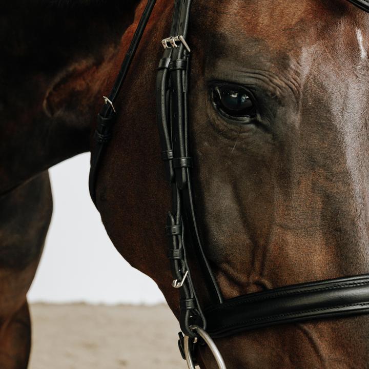 Immagine prodotto Fouganza Trense 580 Leder Strass schwarz