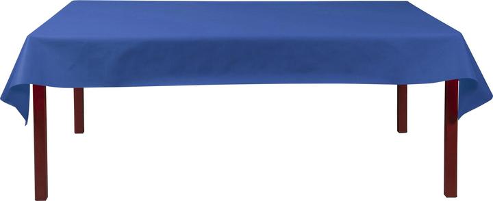 Actual product image Exacompta Tablecloth Rolls Spu nbond L120x10m NvBlu