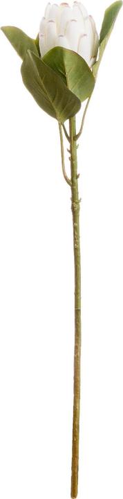 Actual product image Hill Interiors Artificial flower sugar bush (67 cm)