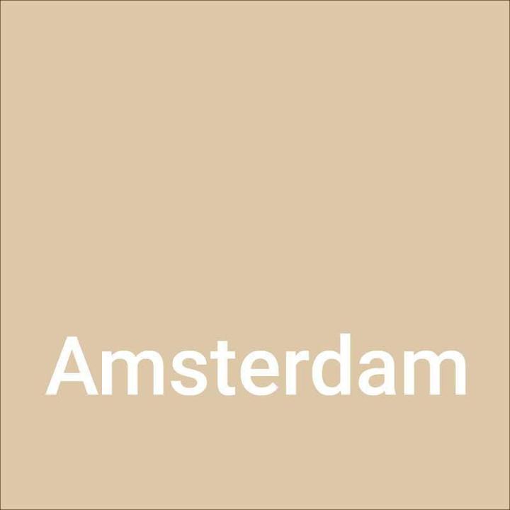 Produktbild Dupli-Color NEXT Amsterdam seidenmatt (Aprikose, 0.40 l)