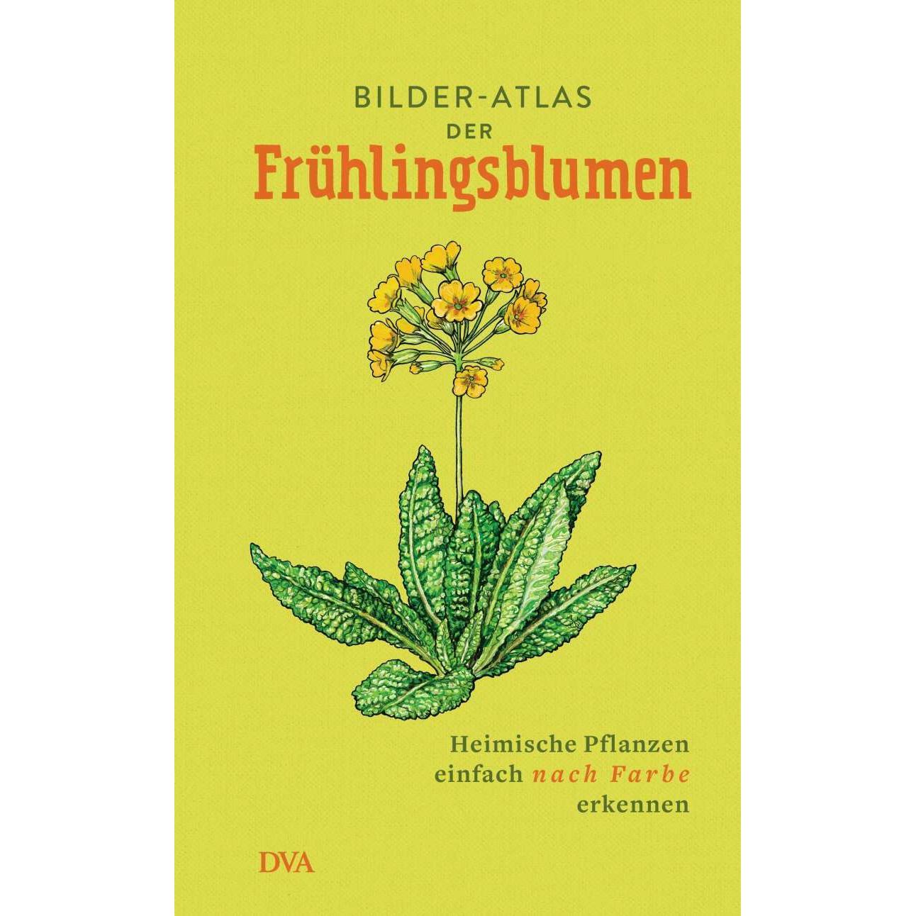 Bilder-Atlas der Frühlingsblumen, Ratgeber