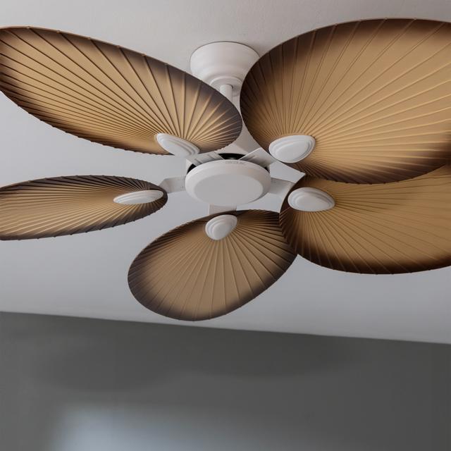 Image du produit Cecotec EnergySilence Aero 5200 Palm
