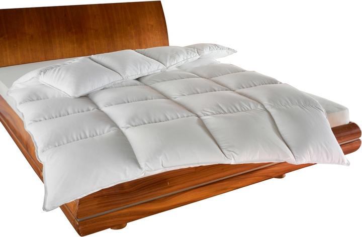 Immagine prodotto Lipo Basic (1700 g, 160 x 210 cm, Piuma)