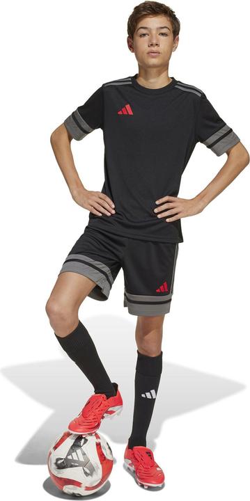 Produktbild adidas Squadra 25 Short Kids (152)