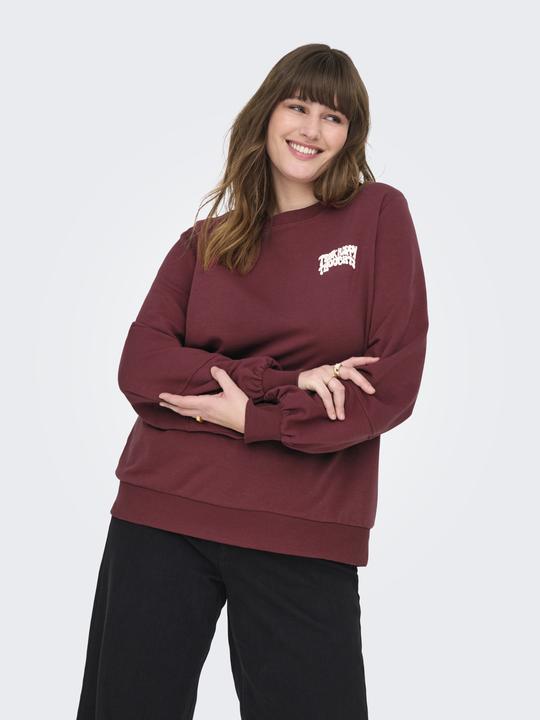 Immagine prodotto Only CARKAVIRA Sweatshirt Sweatshirt (L)