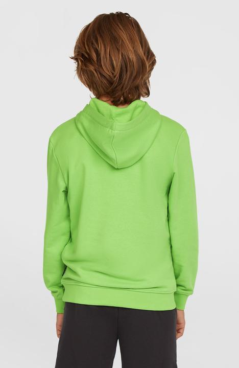 Immagine prodotto O'Neill Logo Hoodie (164)