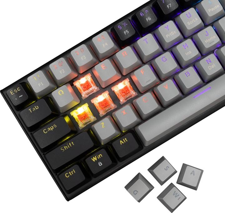 Actual product image White Shark Computer keyboard GK-002711V2 Wakizashi 2 Grey-Black US Red Switches (USA, Cable)
