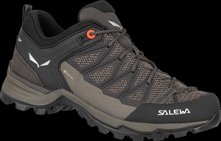 Produktbild Salewa MTN Trainer Lite GTX Schuhe (42)