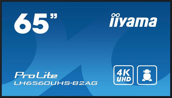 iiyama LFD ProLite LH6560UHS-B2AG (3840 x 2160 pixels, 65")