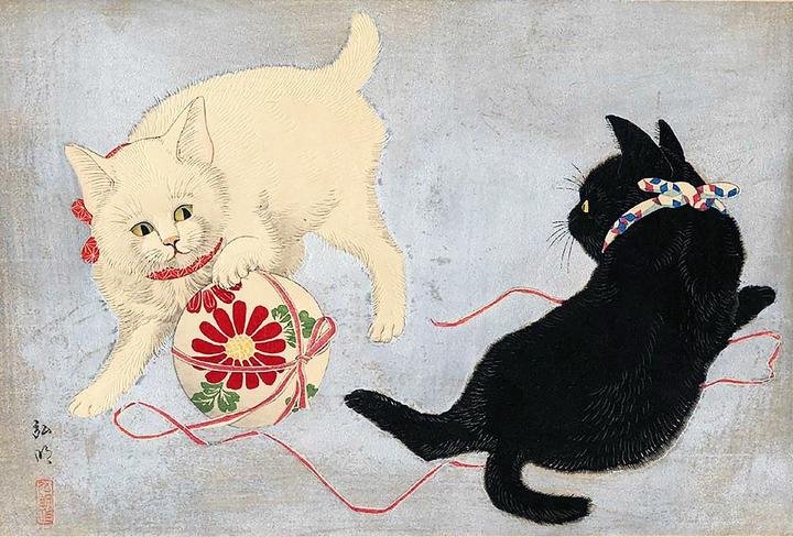 Immagine prodotto Katzen (Tedesco, Jocelyn Bouquillard, 2024)