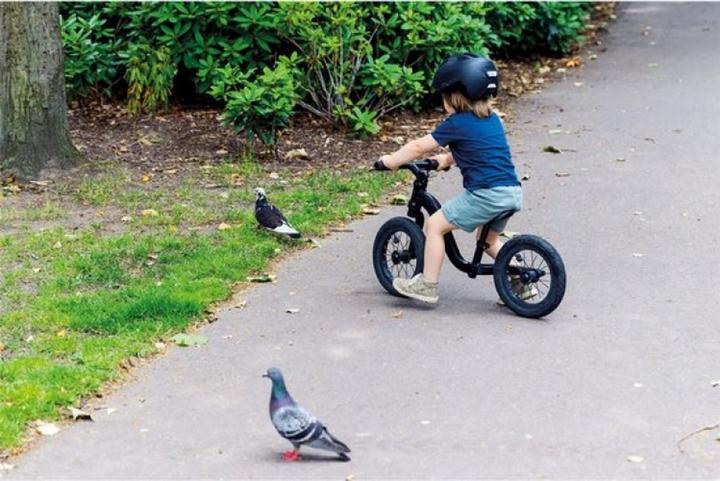 Actual product image Abus Smiley 3.0 ACE LED (45 - 50 cm)