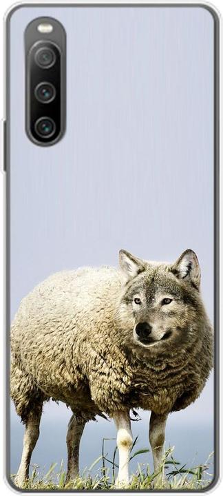 Wolf in sheep's clothing