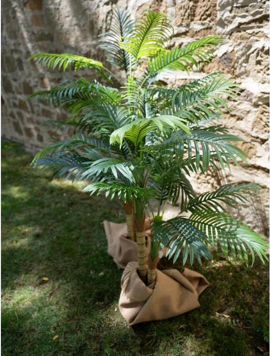 Produktbild Europalms Areca Palme (120 cm)