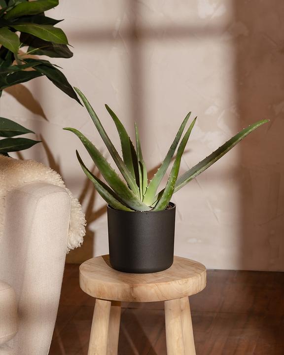 Actual product image feey Lumi (16 cm)