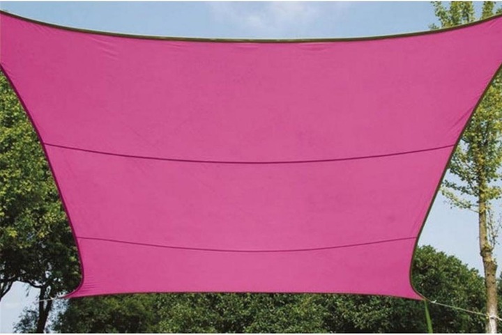 Fuchsia