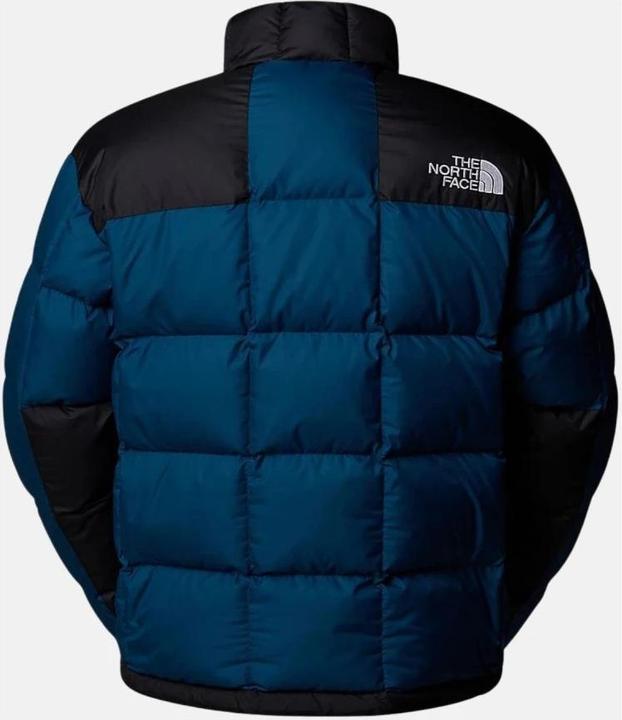 Actual product image North Face Winter Jacket (L)