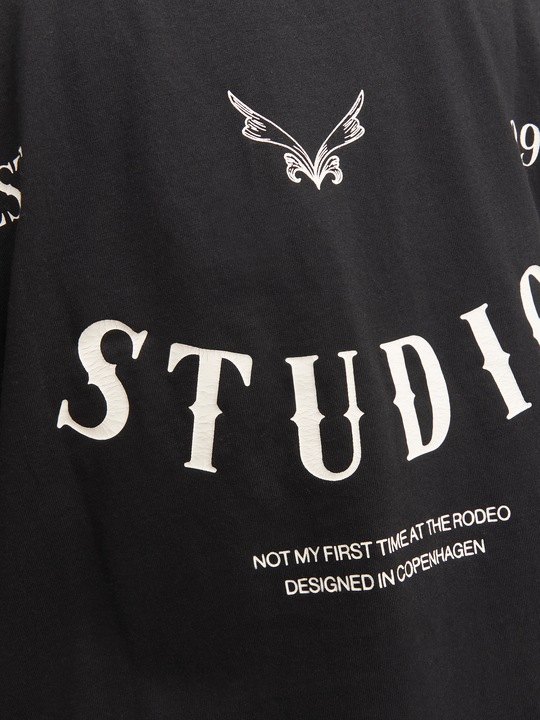 Produktbild Jack & Jones Joraustin Font Tee Ss C.N Styd Aw24 (M)