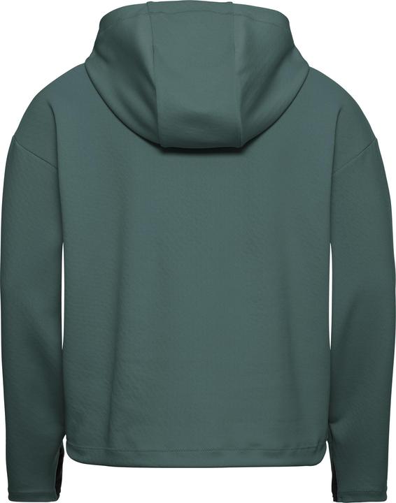 Produktbild Jack Wolfskin Astrotrail Hoody W (L)