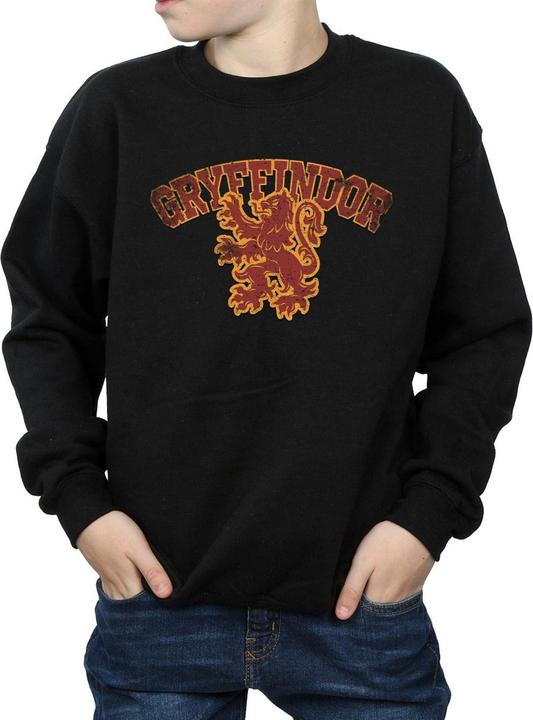 Immagine prodotto Gryffindor Sport Emblem Felpa Ragazzi (116)