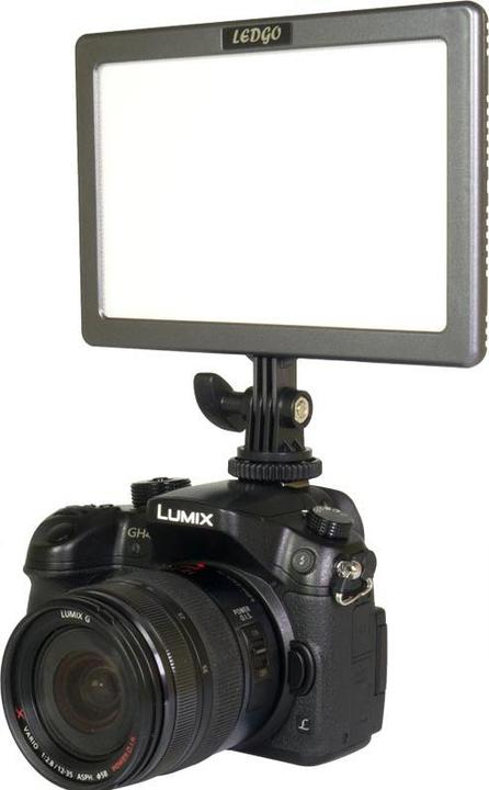 Ledgo LG-E116C illuminazione continua da studio fotografico (Videocamera)