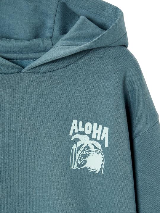 Produktbild Vertbaudet Jungen Kapuzensweatshirt mit Print, Recycling-Polyester Basic (86)