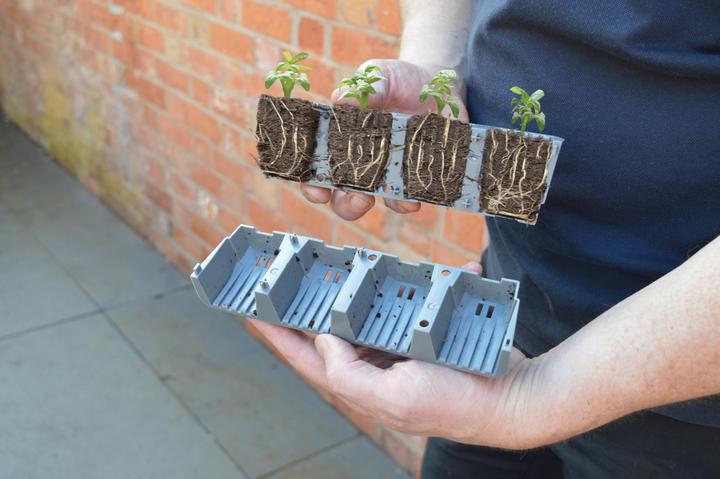 Image du produit Garland Saatgut Startert-Set, 24er Tray