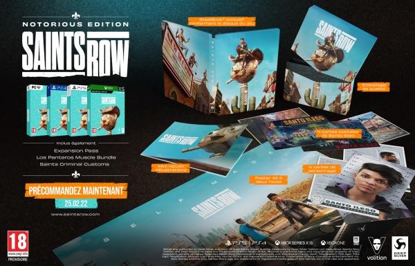 Actual product image Deep Silver Saints Row Notorious Edition (PC, FR)