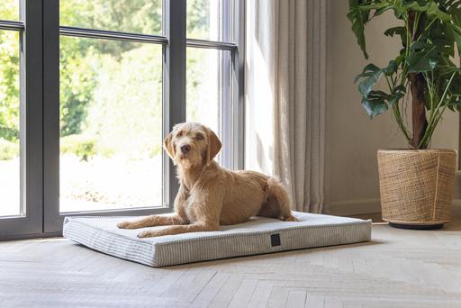 Actual product image Designed by Lotte Orthopaed cage cushion Ribbed (Dog)