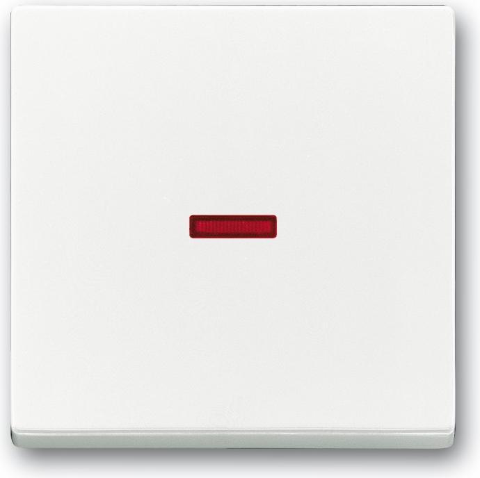 Actual product image Busch-Jaeger Control rocker