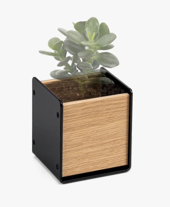 Produktbild Balolo Planter Eiche (7 x 7 x 8.20 cm)